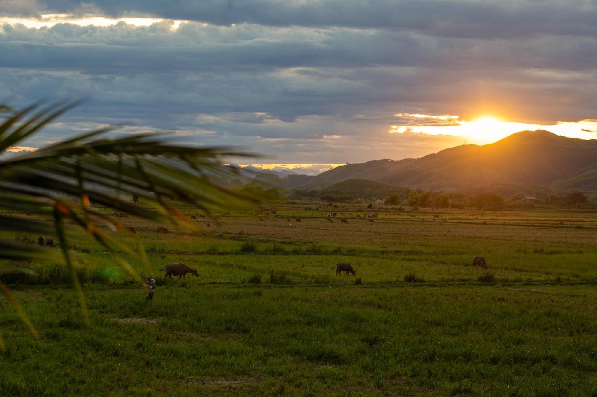 Phong Nha Farmstay Екстер'єр фото